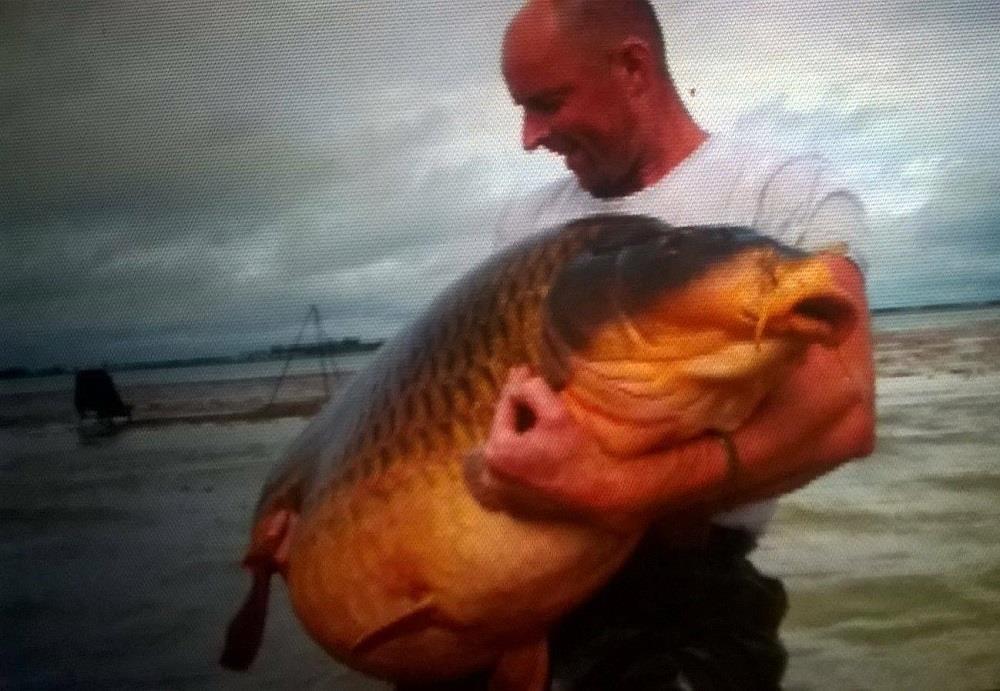 DIVERSE - cat crezi ca a cantarit?